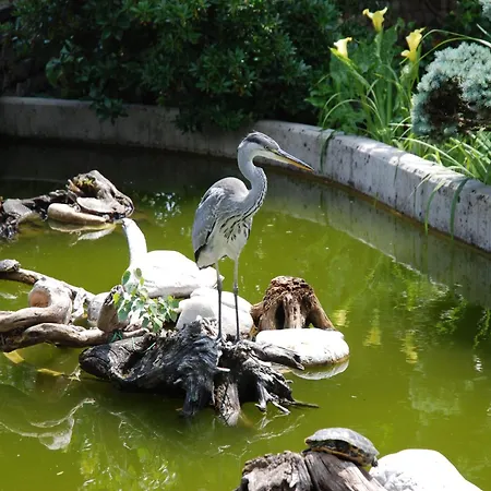 Hotel Al Giardino 3*